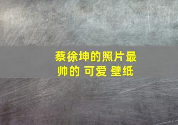 蔡徐坤的照片最帅的 可爱 壁纸